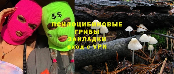 а пвп мука Каменка
