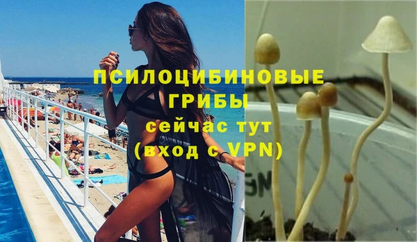 COCAINE Каменногорск