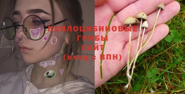 каннабис Каменск-Шахтинский