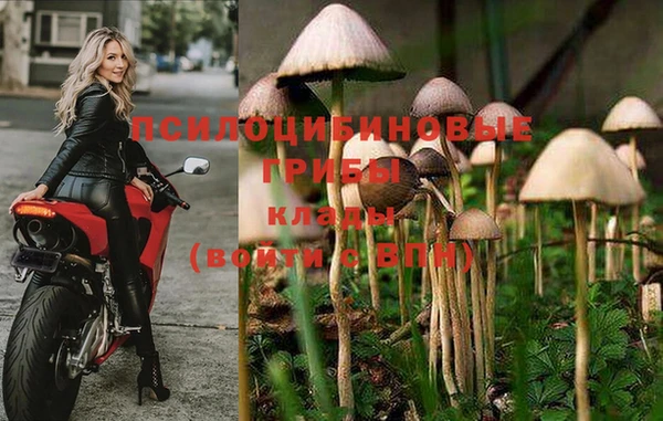 COCAINE Каменногорск