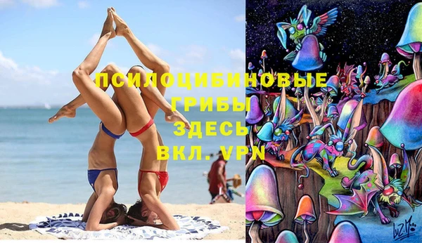 COCAINE Каменногорск