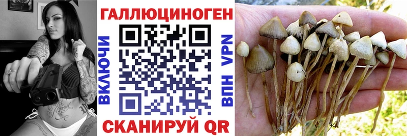 Псилоцибиновые грибы ЛСД  Купить  Братск 